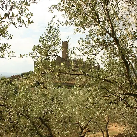 La Torre *